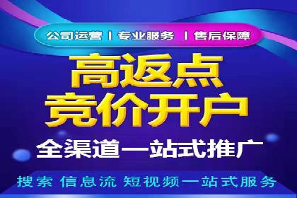 某某SEM团队成功案例：广告投放策略揭秘